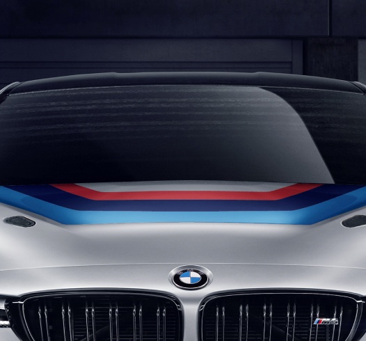 Elite Nutritional Products